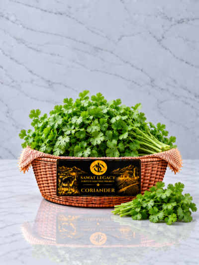 Coriander